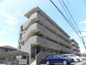 シャインフィルⅡ