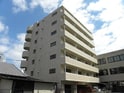 ism