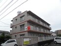 マミール86