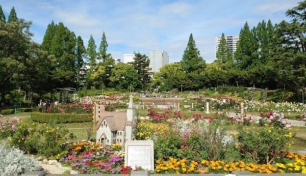 周辺環境(靱公園 1175m)
