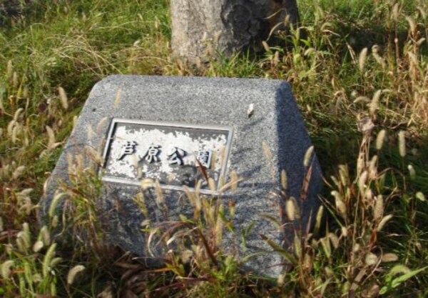 周辺環境(芦原公園 1167m)