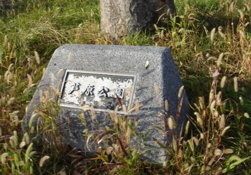 物件内観写真30　(芦原公園 709m)