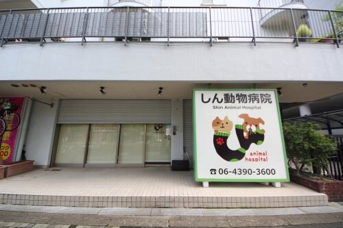 物件内観写真32　(しん動物病院 604m)