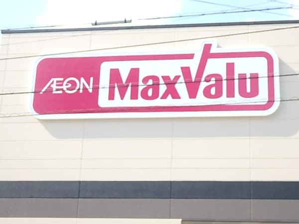 周辺環境(マックスバリュ小阪店 533m)