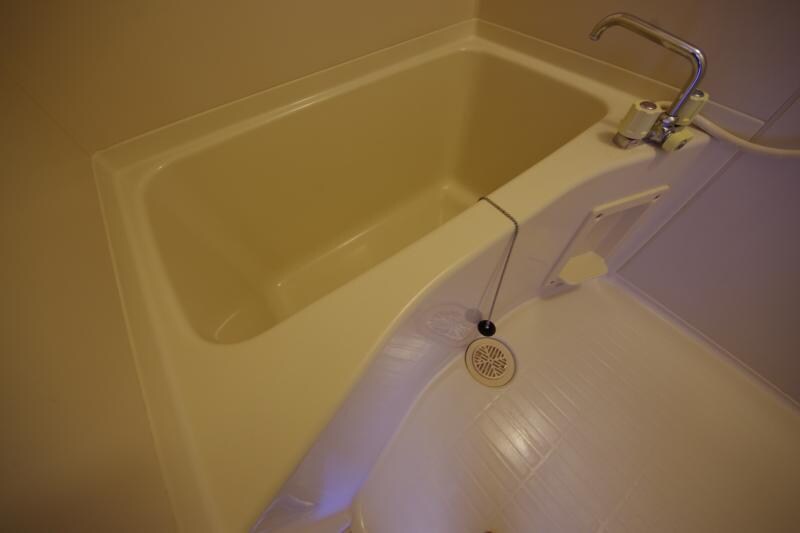 物件内観写真19　(お風呂で日々の疲れを落としましょう)