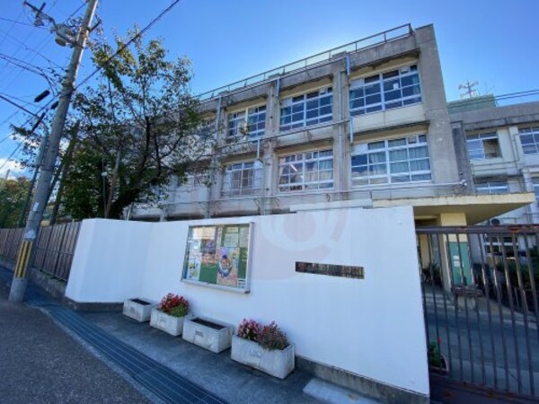周辺環境(東大阪市立金岡中学校 558m)