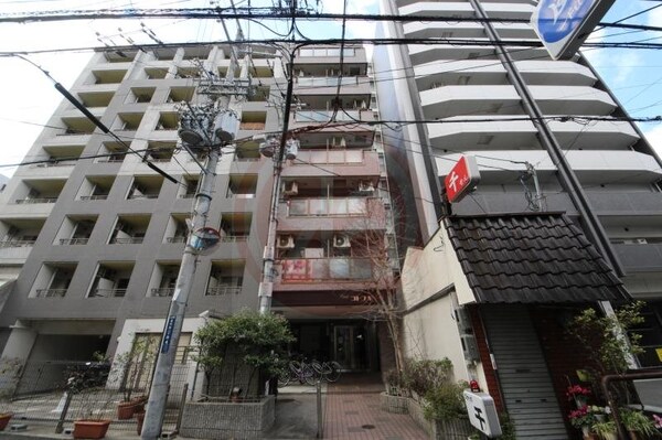 外観(外観は落ち着いています)