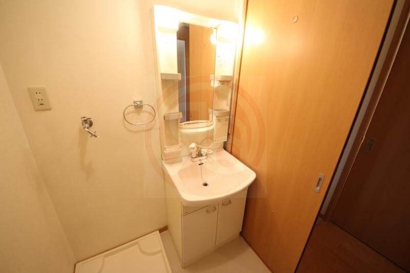 洗面・脱衣所(スペースが確保できる洗面所です)