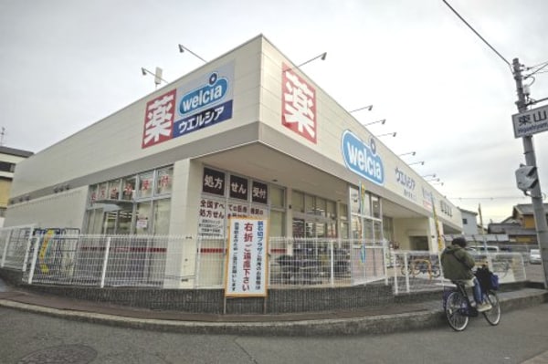 周辺環境(ウエルシア　新石切店 728m)