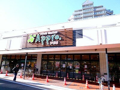 物件内観写真30　(食品館アプロ 520m)