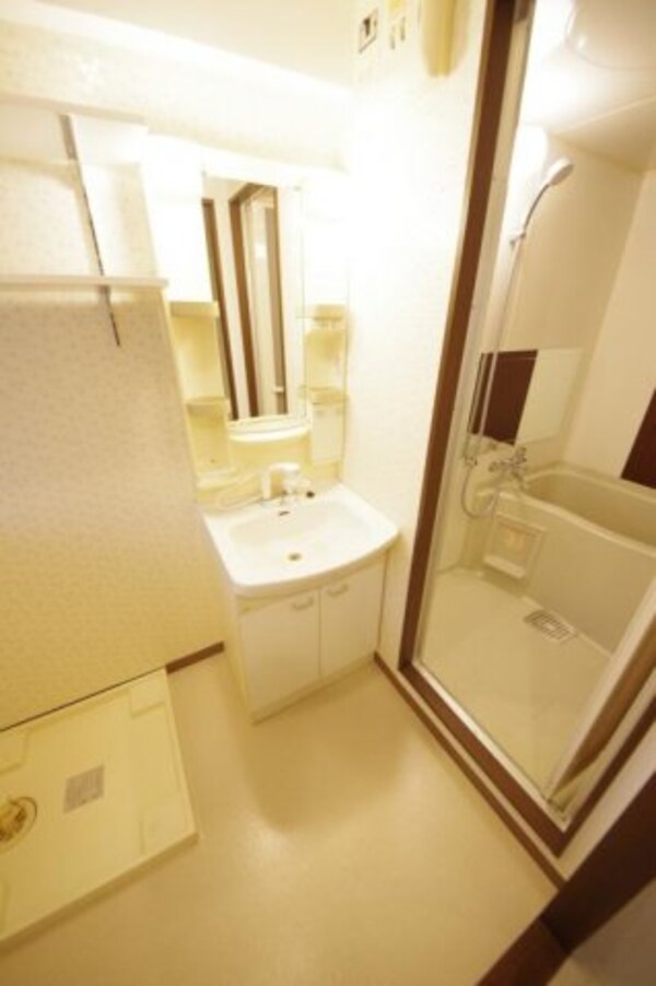 洗面・脱衣所(洗面所です)