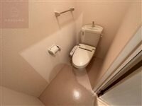 物件内観写真8　(落ち着いた色調のトイレです)