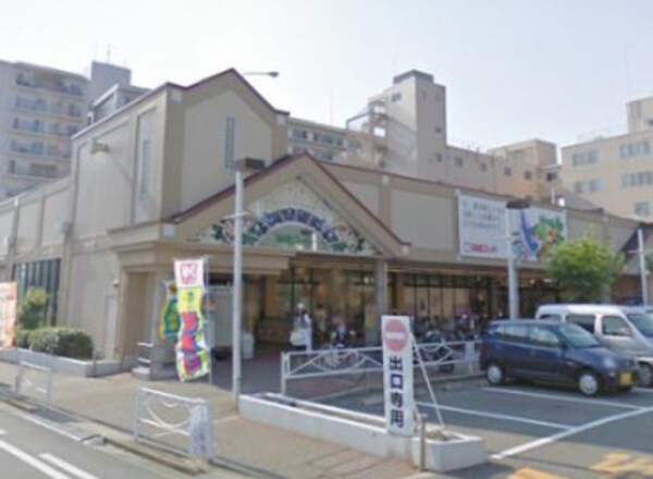 周辺環境(関西スーパー　日下店 344m)