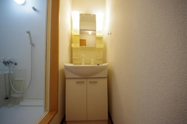 洗面・脱衣所(忙しい朝には欠かせない洗面所です)