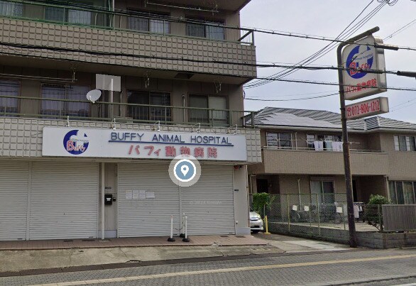 物件内観写真31　(バフィ動物病院 834m)