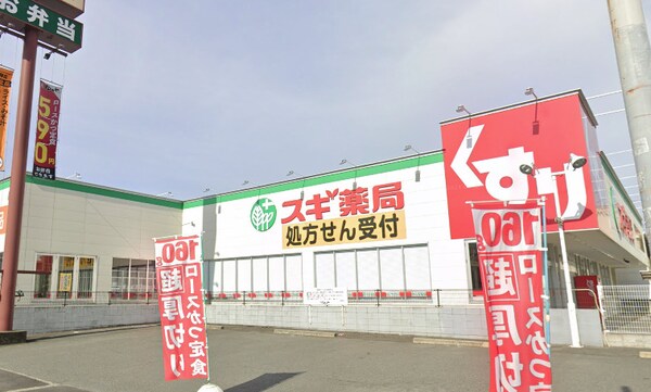 周辺環境(スギ薬局 503m)