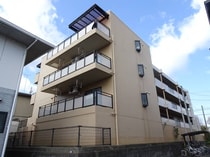 メゾン東大津の外観写真