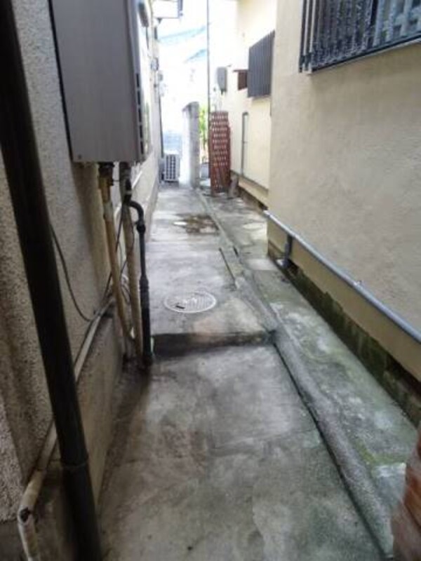 庭
