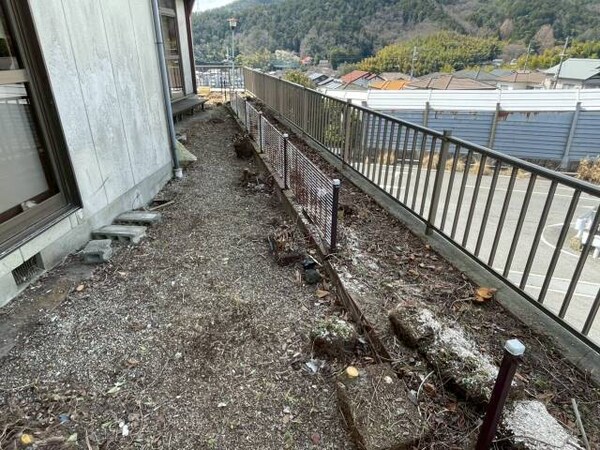 庭