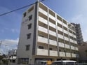 シティ フラット