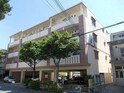 セレノパラッツオ