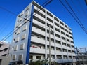 シオングレイス