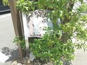 ポワール稲城Ⅰ