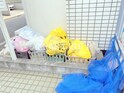 メゾンイワト