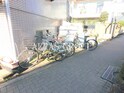 フォンテーヌ恵