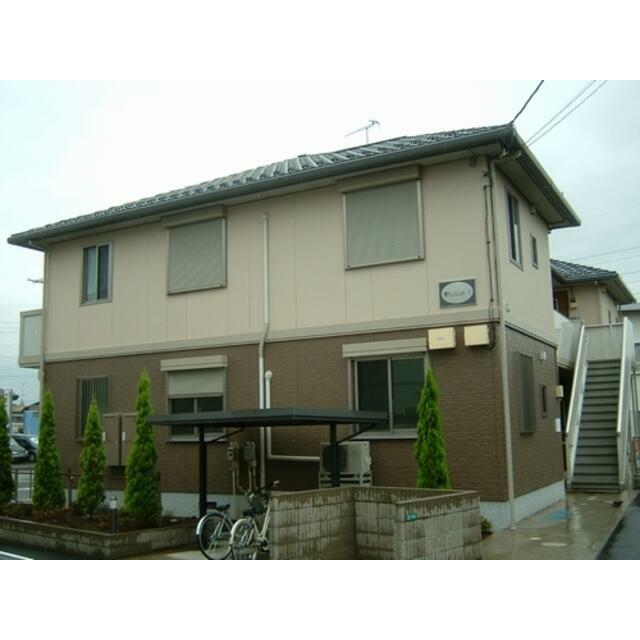 オーキッドV