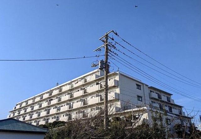 シーサイドパレス平塚