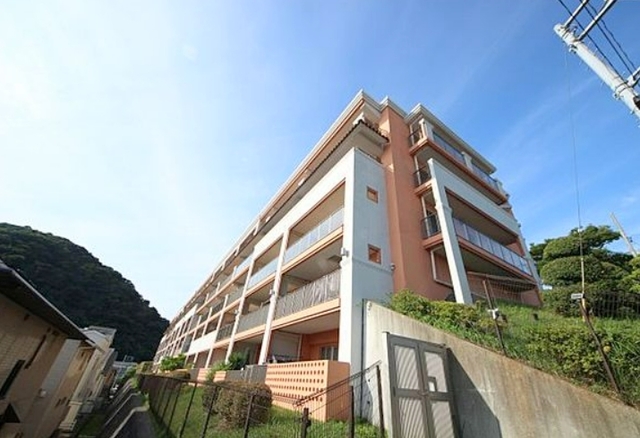アデニウム葉山一色