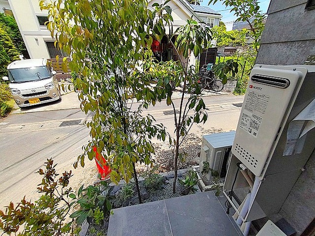 ヒュッゲユキノシタ