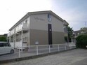 Surplus　やまと