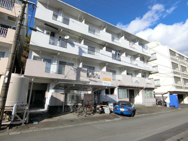 スプルース