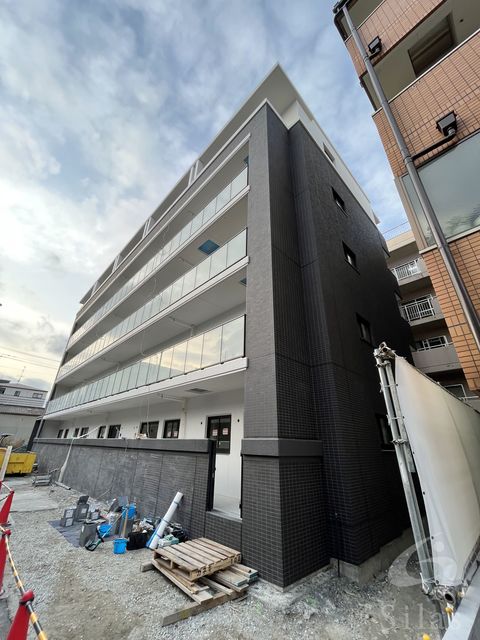 Moolio新深江