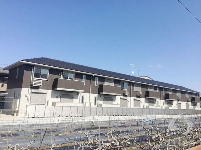 コンフォール　ドミ