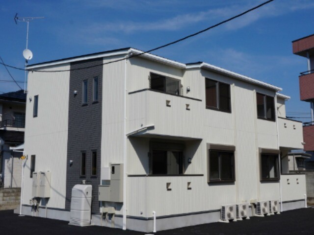 コモド・グレイス A