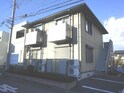 サプライズ