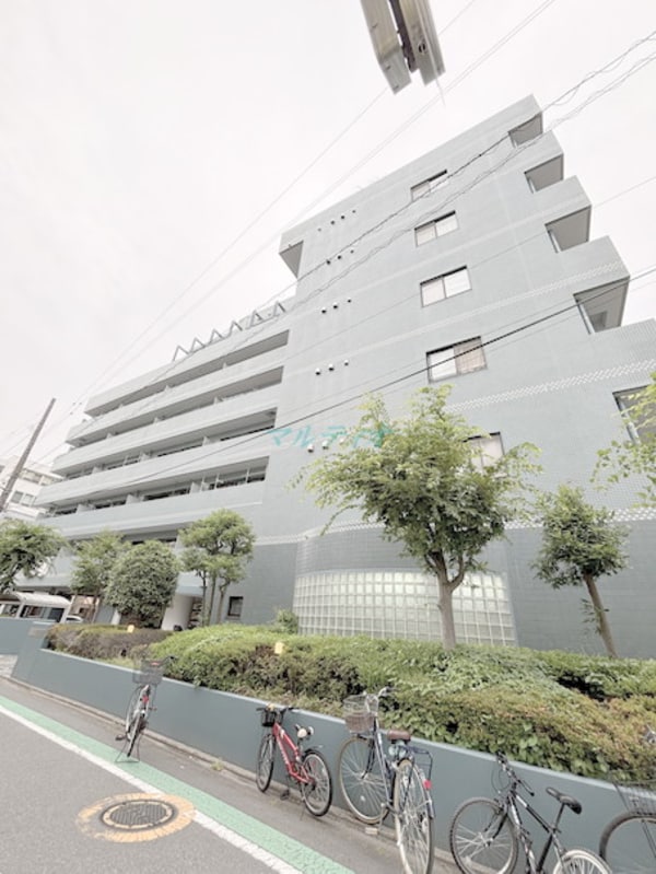 外観(外観)