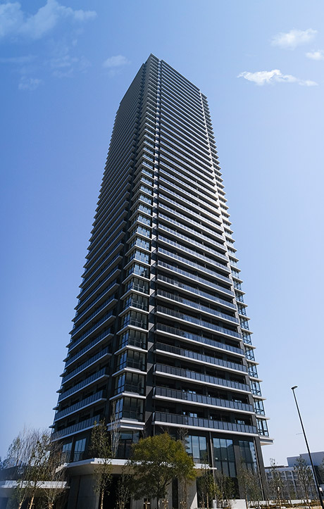TERIHA THE TOWER