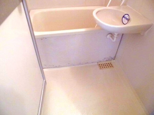 風呂画像