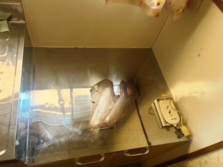 物件内観写真32　