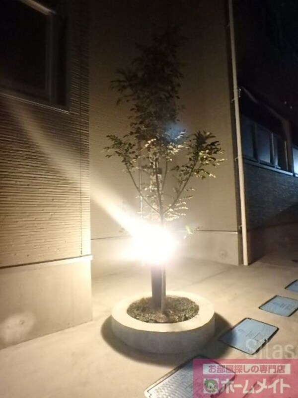 植栽