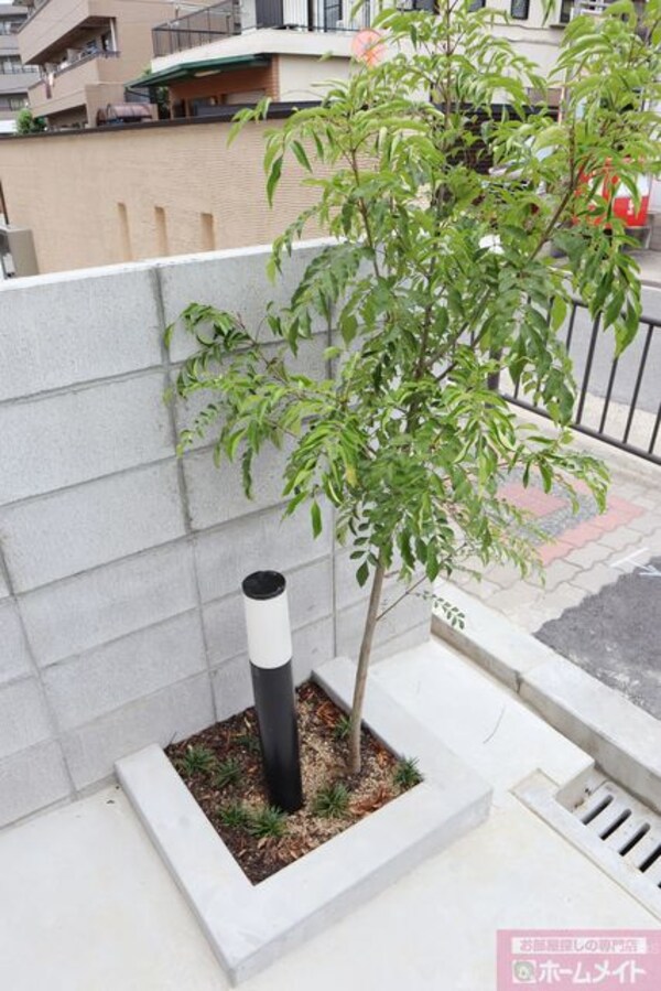 植栽