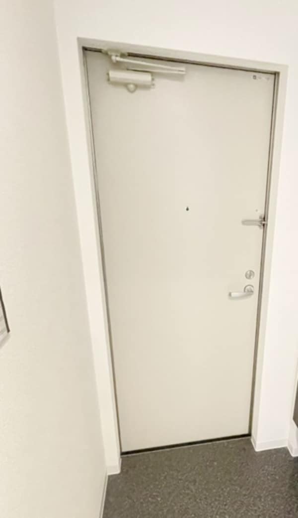 玄関(同仕様)
