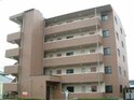 Ｄｗｅｌｌ Ｓａｅｋｉ