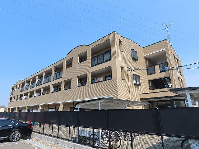 コート　ルピナス