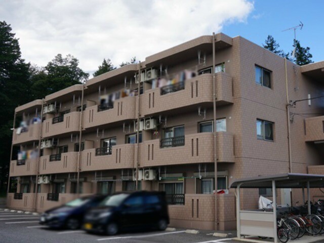 Y＆Mシルキー