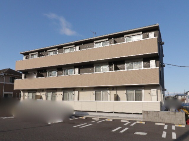 シダー